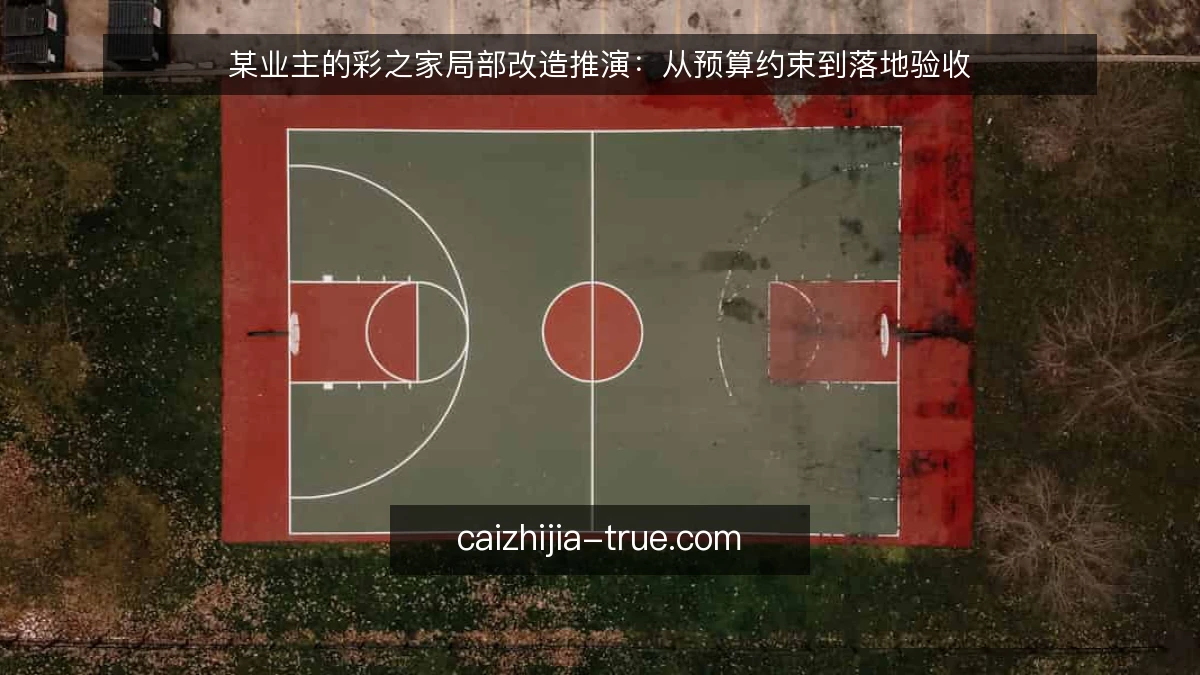 某业主的彩之家局部改造推演:从预算约束到落地验收